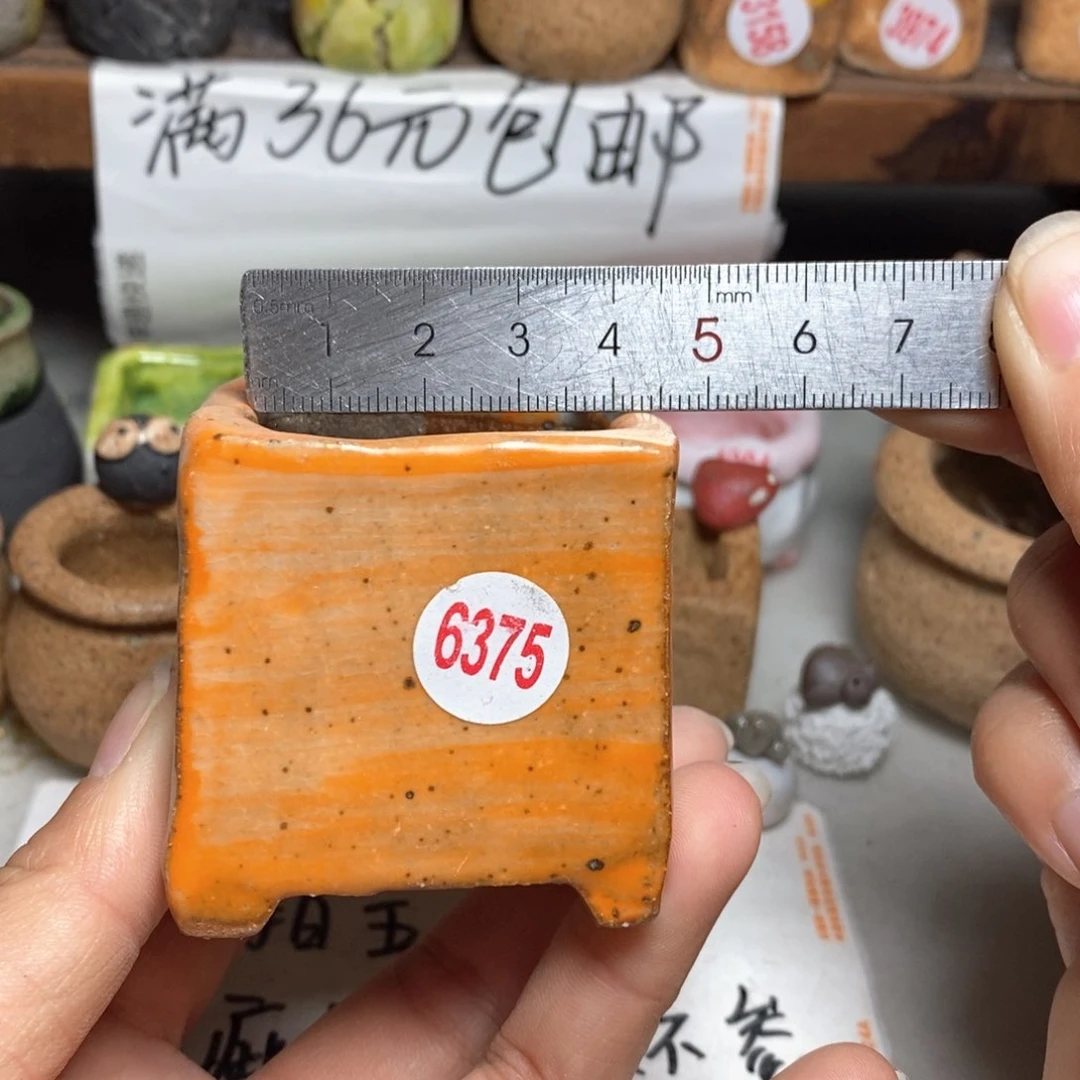 红陶拍5送一个小