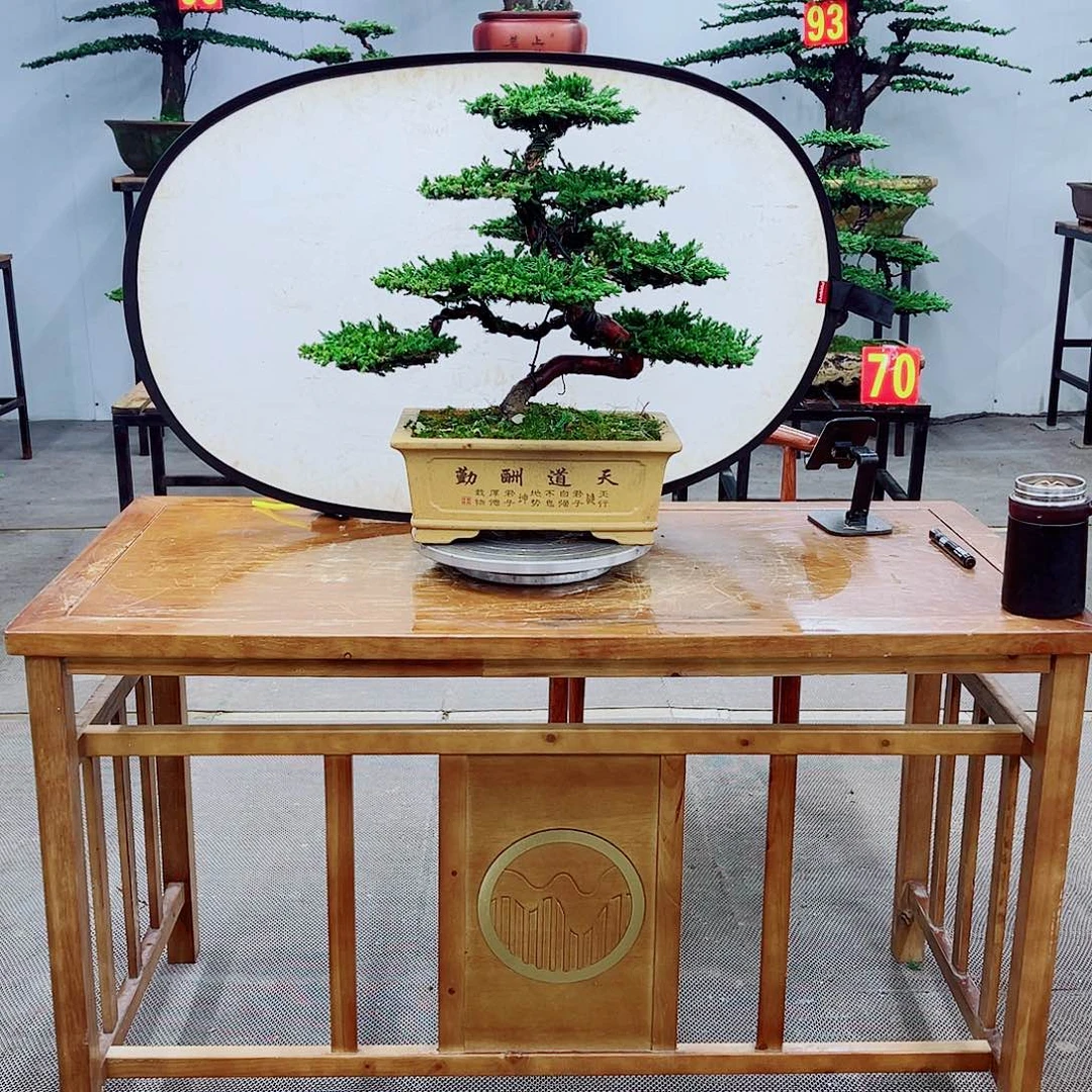 无花朵直播间一物一拍