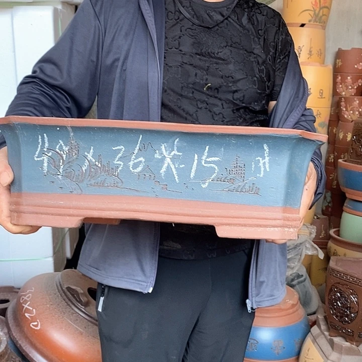 紫砂花盆盆栽植物花卉种植