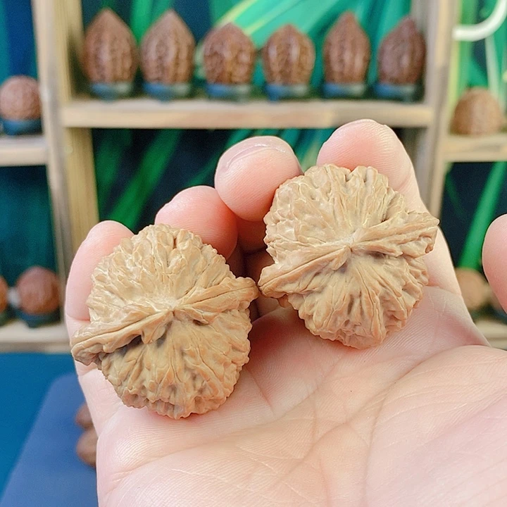 吊坠文玩核桃022白狮子38尺