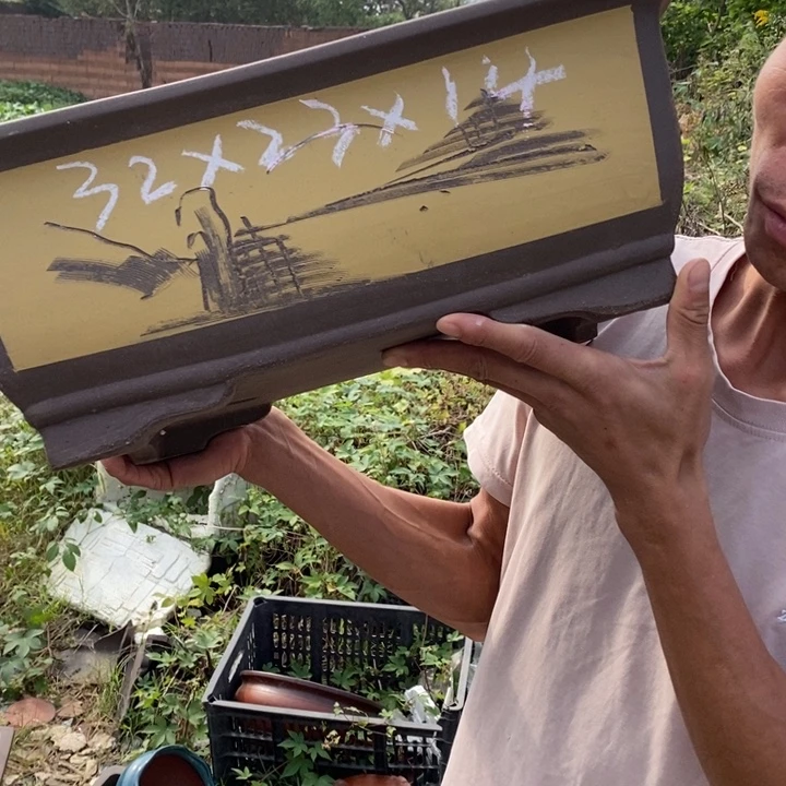 紫砂紫砂紫砂紫砂