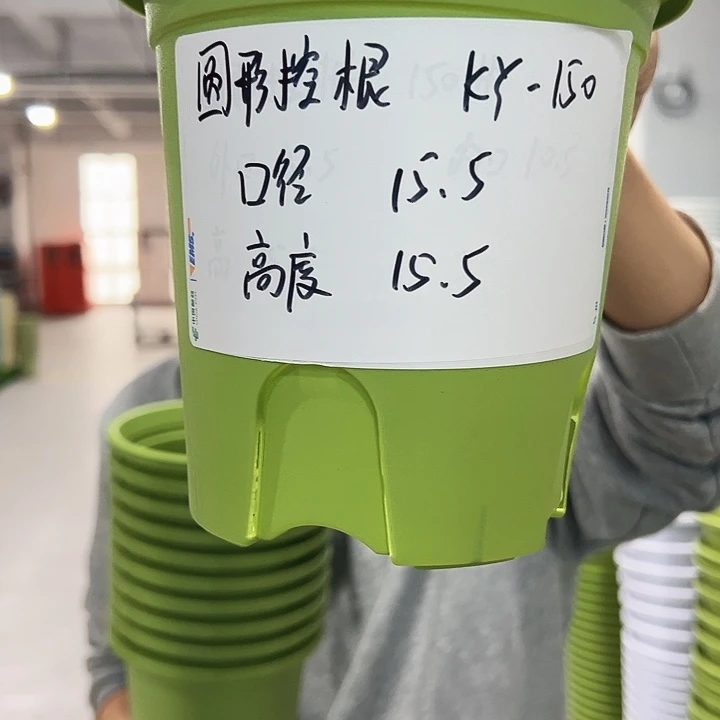 正品圆控口15高15白色10只带托