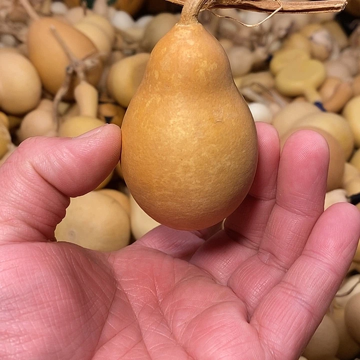 郎***郎精品葫芦手把葫芦83