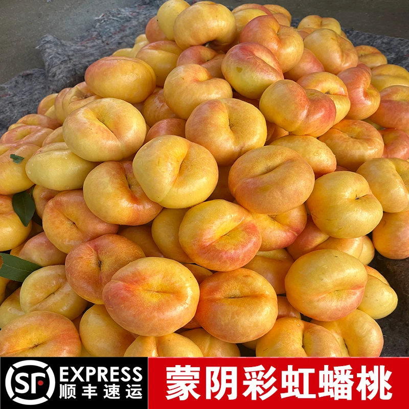 蒙阴黄油蟠新鲜水果当季整箱现摘时令水果孕妇脆桃彩虹油蟠桃扁桃
