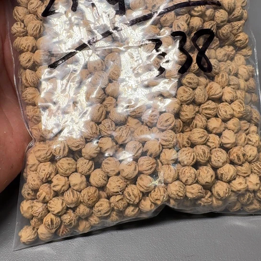 柏香籽/百香籽吊坠A*U