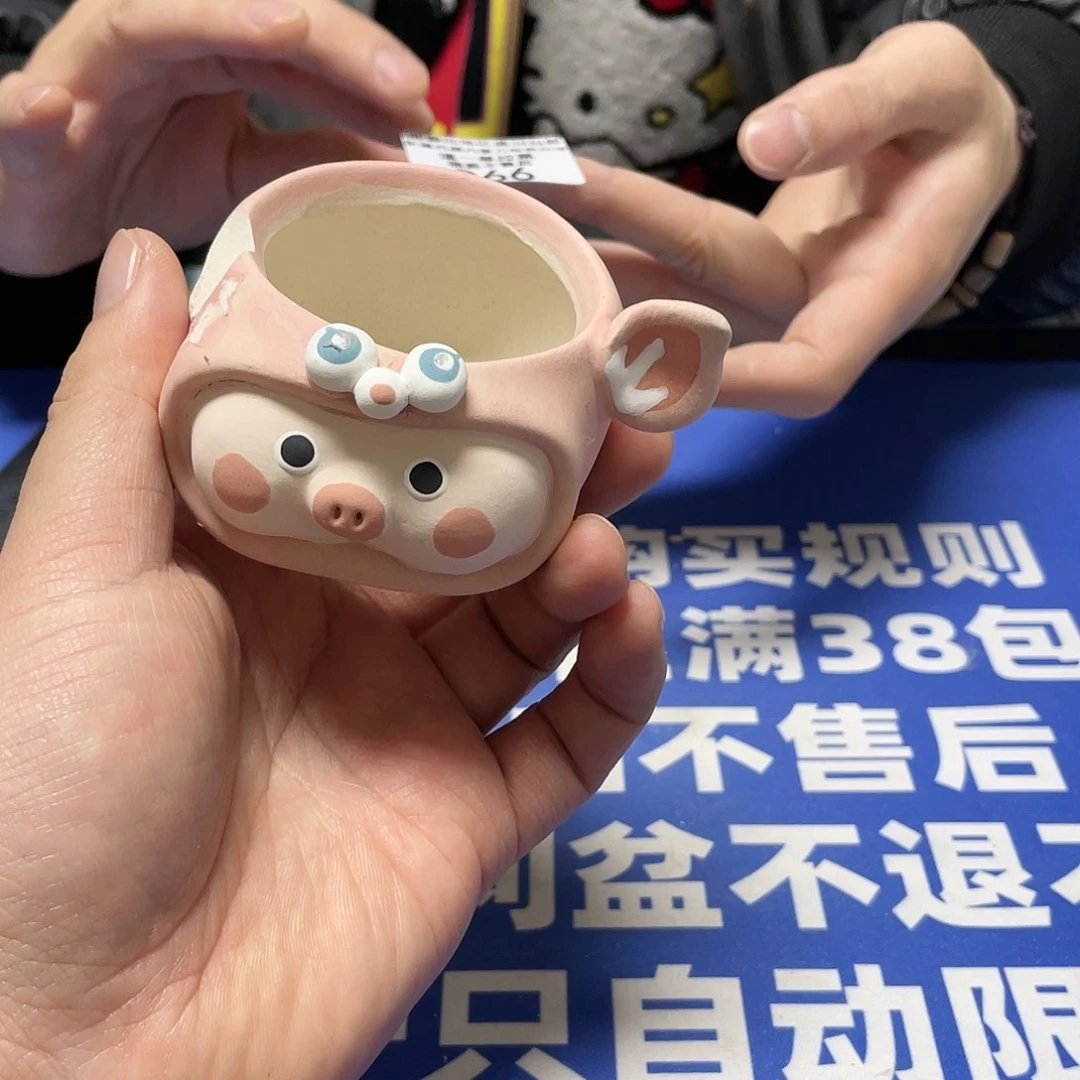 红陶微瑕疵特价不退不换66