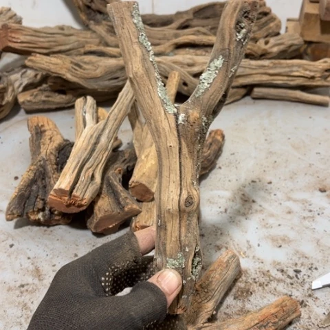 大果紫檀（缅甸花梨）凉