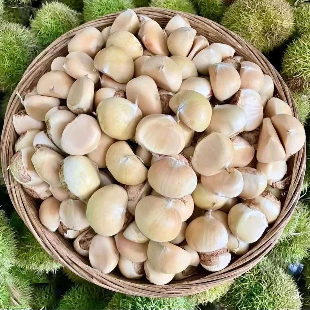正宗湖北罗田嫩板栗子新鲜生栗子新鲜带壳白壳嫩生栗子生鲜食品