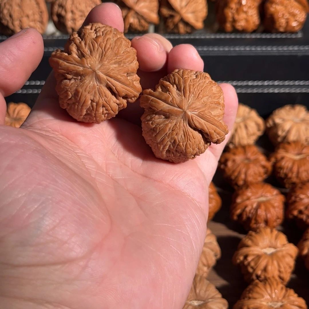 手串/手链核桃41全品毕业粗棱骨王 45克