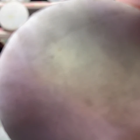 翡翠未镶嵌颈饰翡翠手镯心