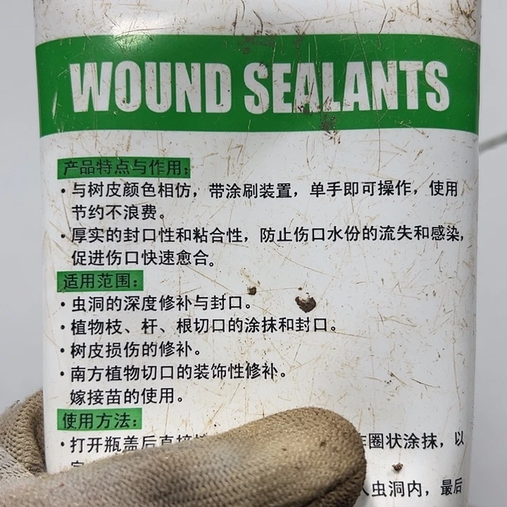 完全开放花朵花朵朵朵朵朵朵朵朵朵朵朵