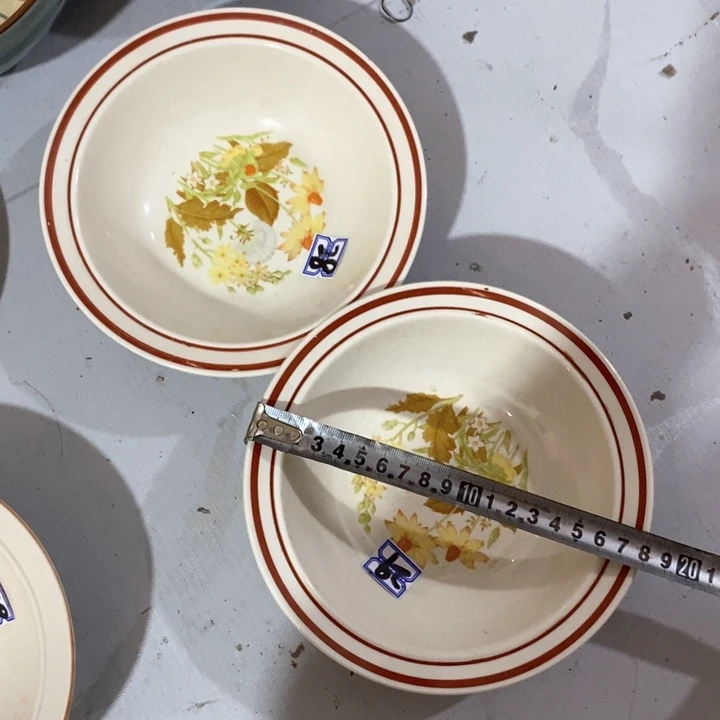 瓷片炻器瓷深盘一对