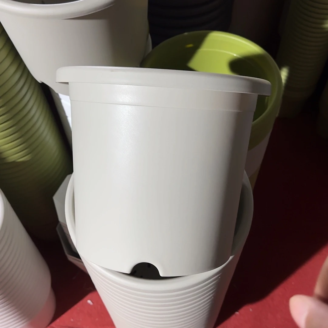 树脂微瑕5号6个无托，灰白