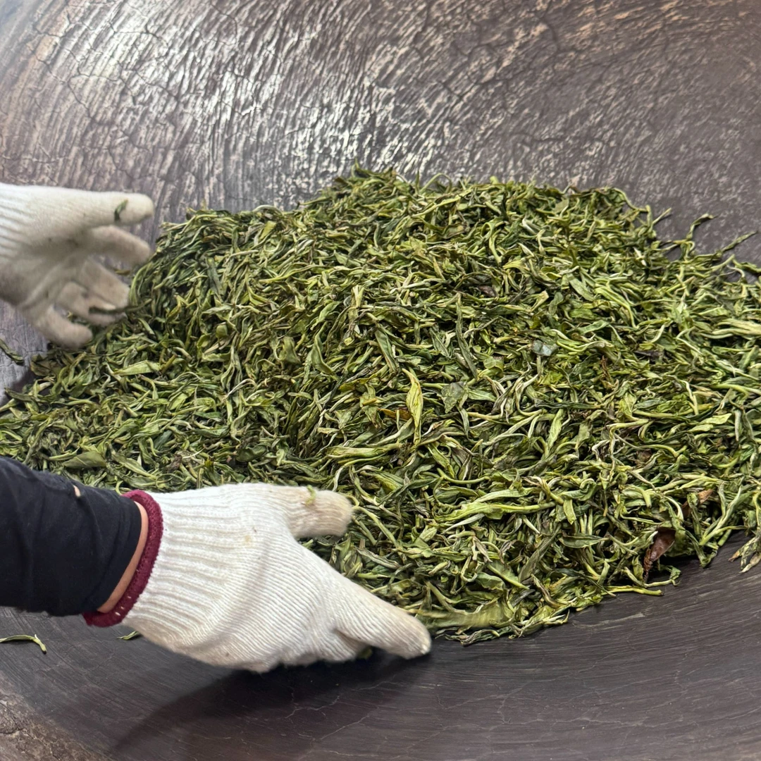 【私人定制款】2025年老班章61号 茭瓜地古树混采（现炒现上）生茶