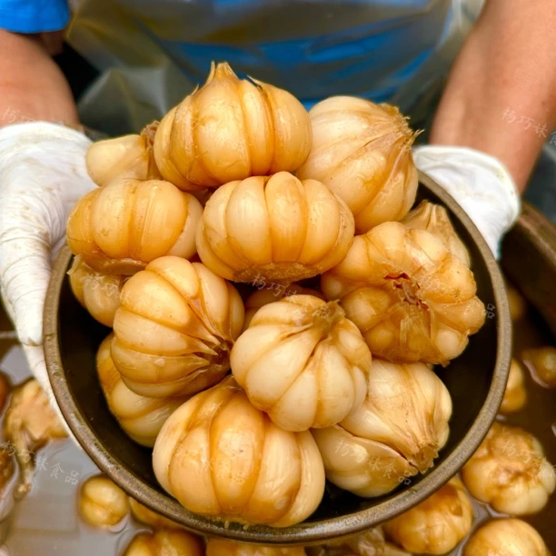 杨巧妹泡大蒜酸脆爽口酸泡菜腌菜即食下饭菜美食调味佐餐