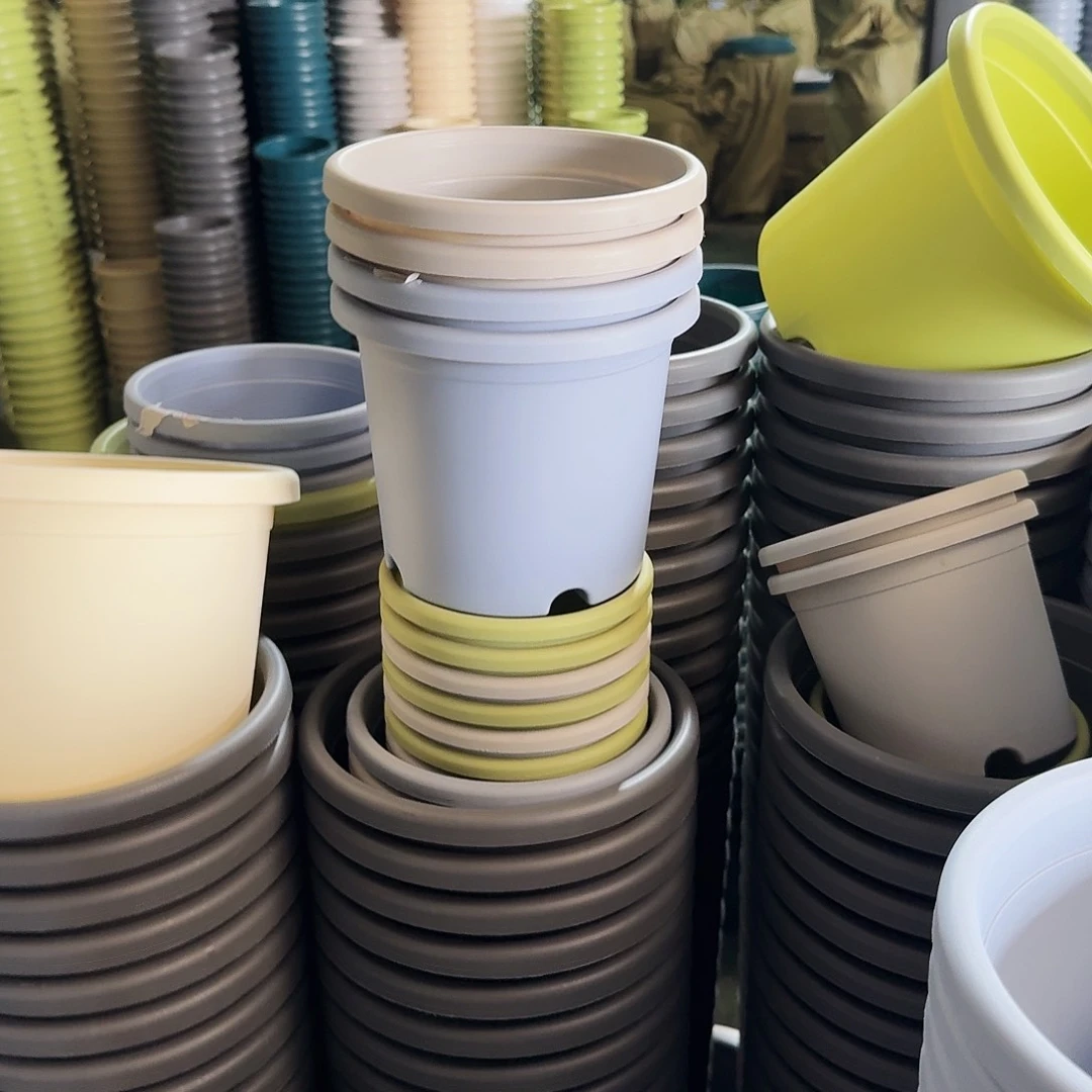 果绿色2号无拖12个