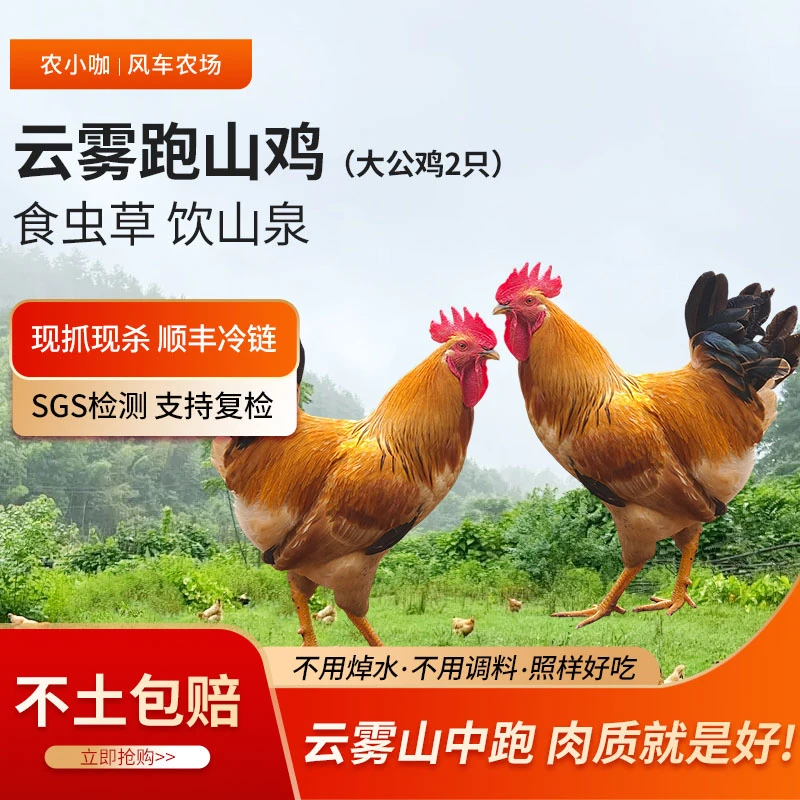 农小咖黄山跑山鸡走地鸡深山散养大公鸡农家土鸡新鲜现杀现发
