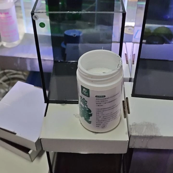 海水鱼来蛋白棉500毫升300克送网兜黑蜗牛。