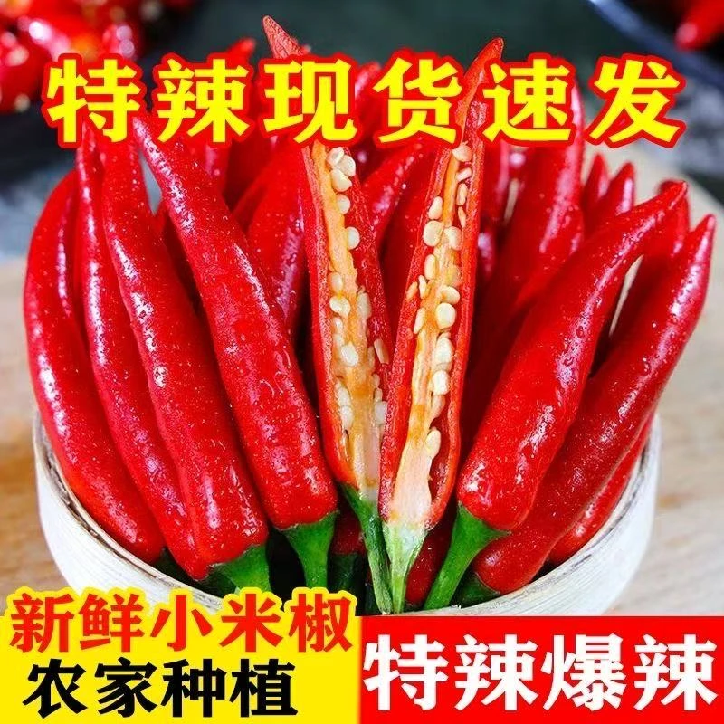 现摘现发新鲜小米椒朝天椒尖椒特辣暴辣红辣椒魔鬼泡椒批发5-9斤