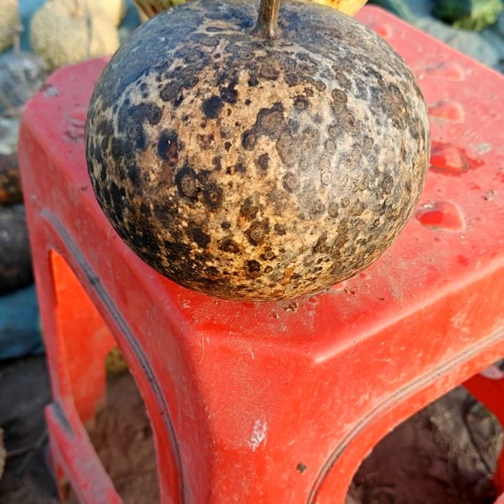 葫芦葫芦葫芦葫芦葫芦葫芦