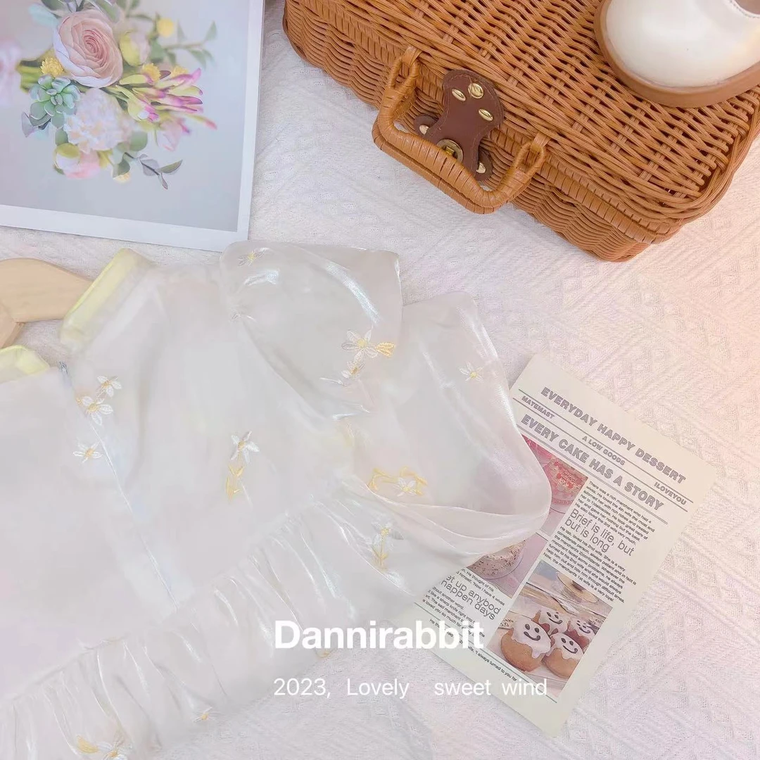 夏款新款女童国风淑女甜美连衣裙 D-C673