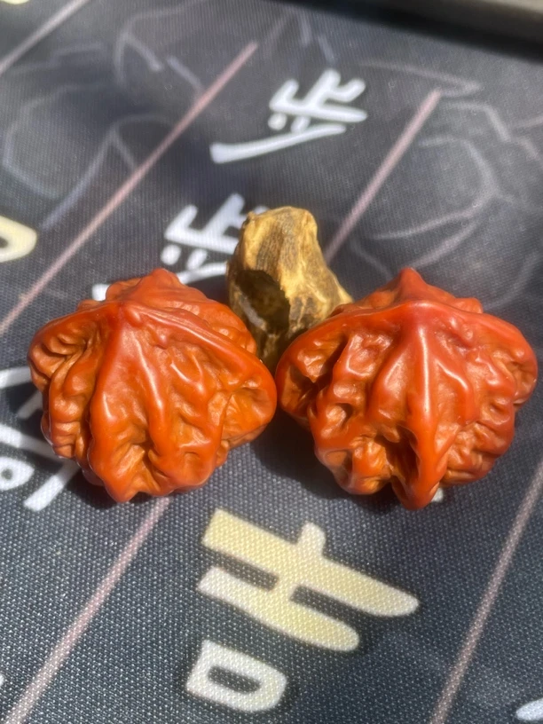 机刷龙脊，半玉化，干刷无异味，不伤手易打理野生楸子，精品桃核