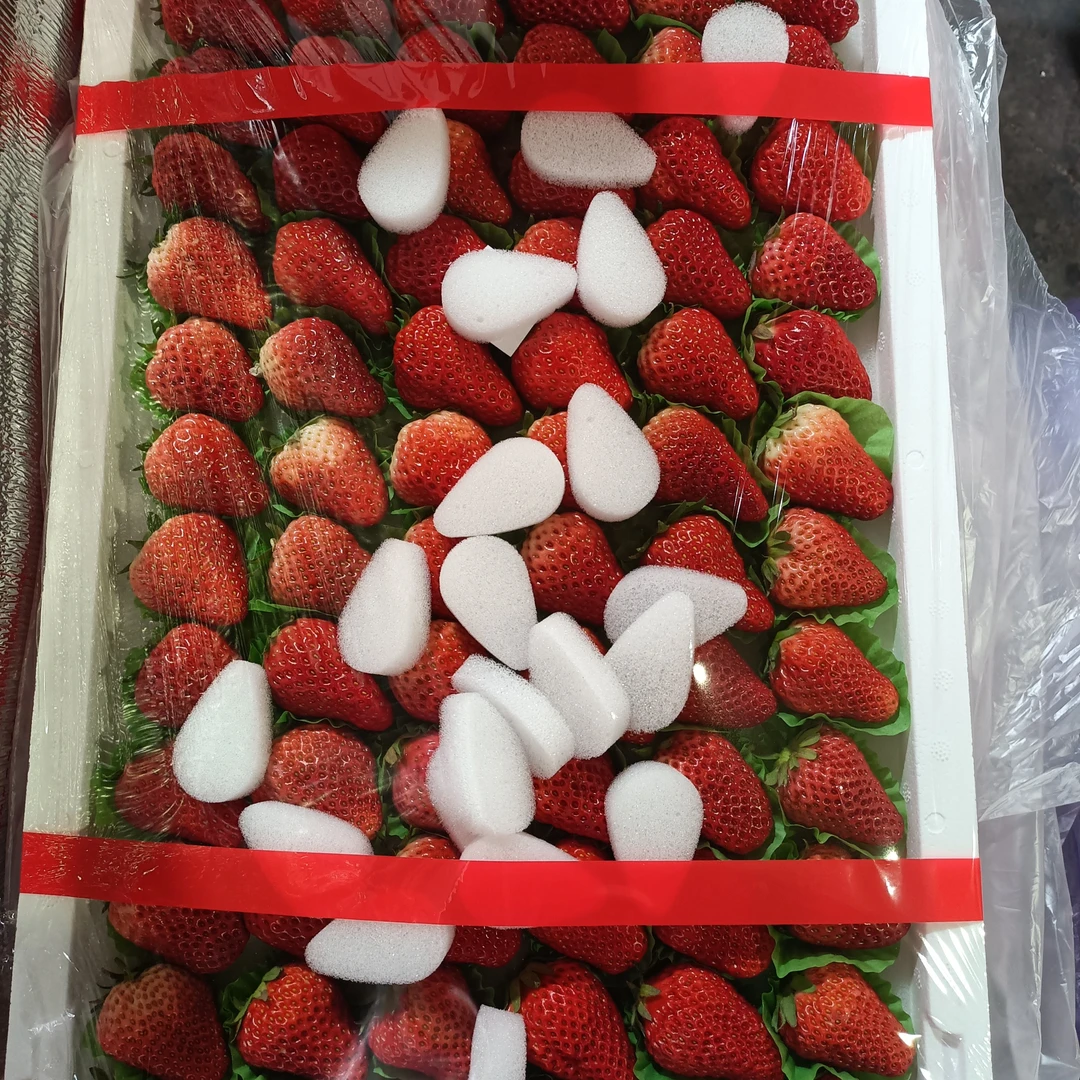 丹东九九草莓大板约5斤/板