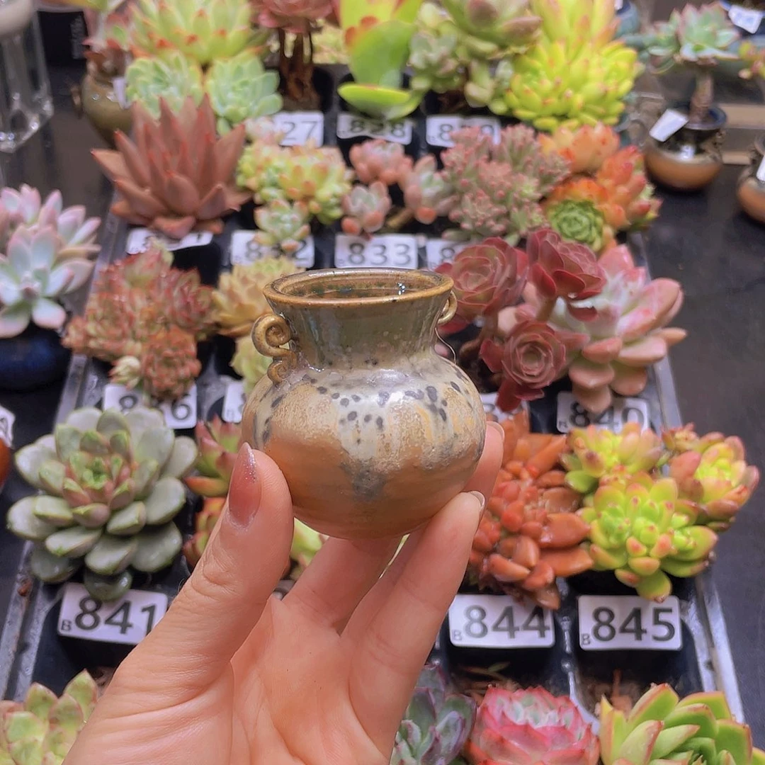 小***学完全开放花钱花钱花钱花钱花钱