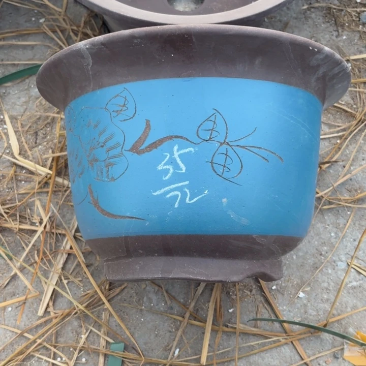 宜兴紫砂花盆，现货发
