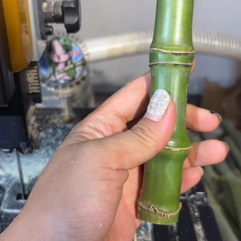 成***东实心竹竹竹竹竹竹竹竹竹