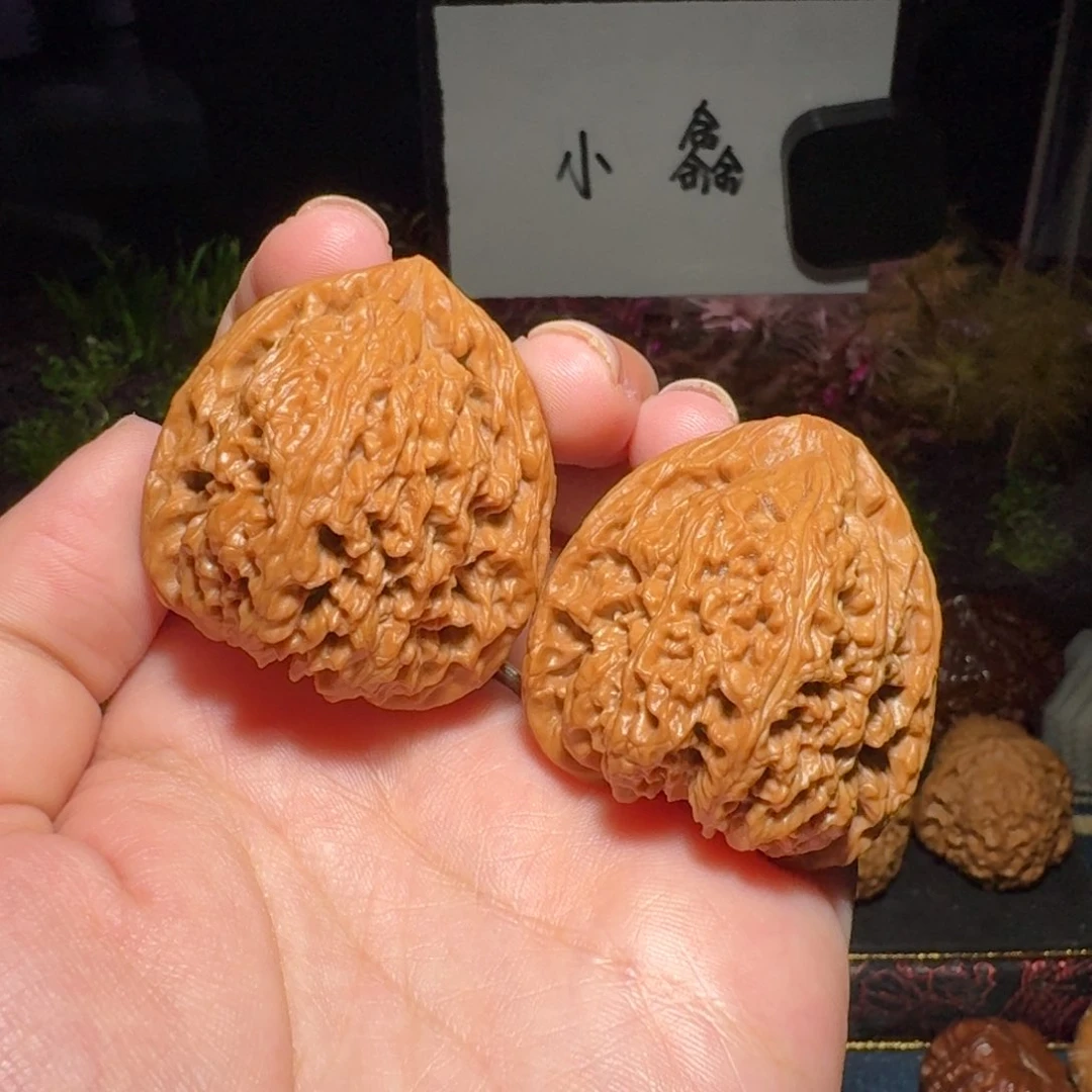 659号41南疆石南疆石南疆石