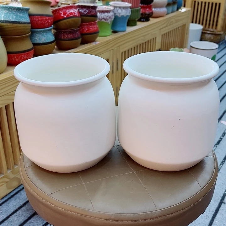 福利花盆9.99包邮