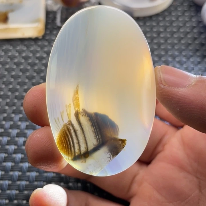 未镶嵌颈饰玛瑙/玉髓中**眼