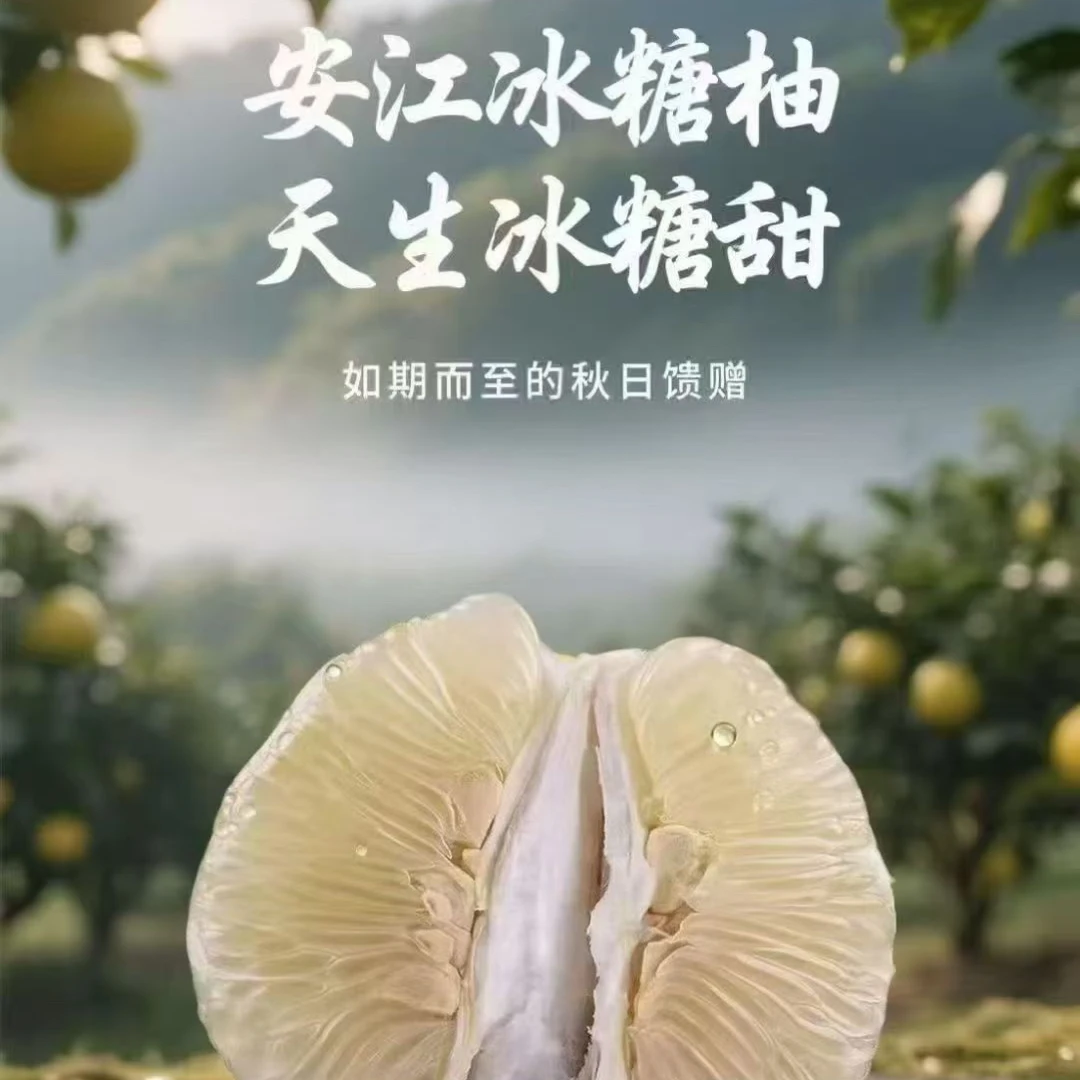 湖南怀化正宗雪峰冰糖柚微苦回甘老少皆宜小土柚小苦柚果园直发