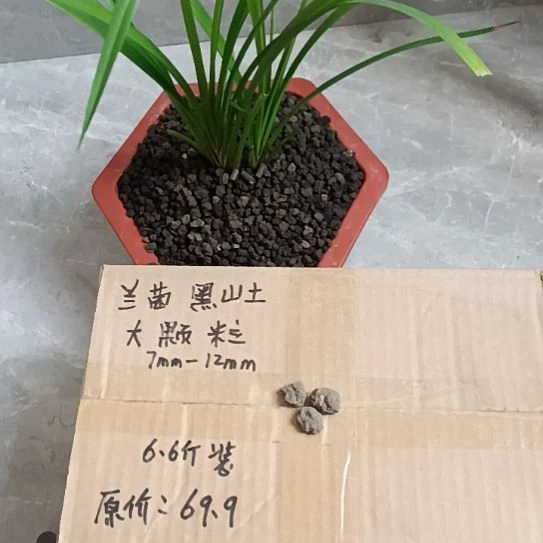 阳***光兰菌黑山土大颗粒6.6斤