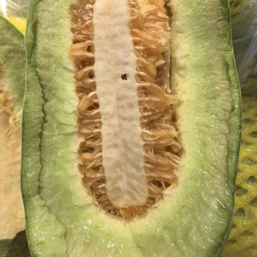 甜美519高糖度甜瓜二斤左右