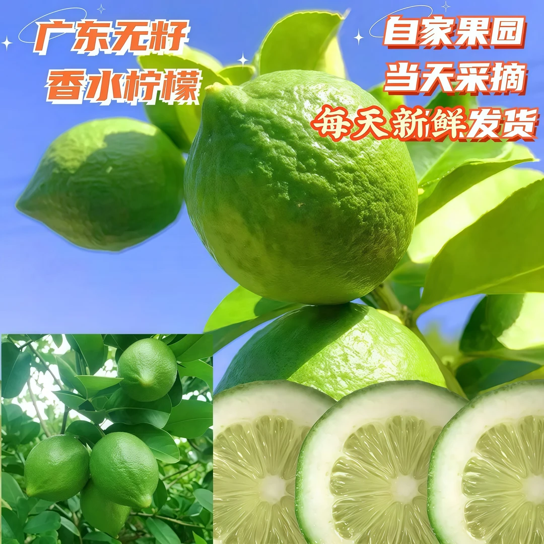 无籽香水柠檬新鲜采摘当季水果皮薄多汁果园现摘