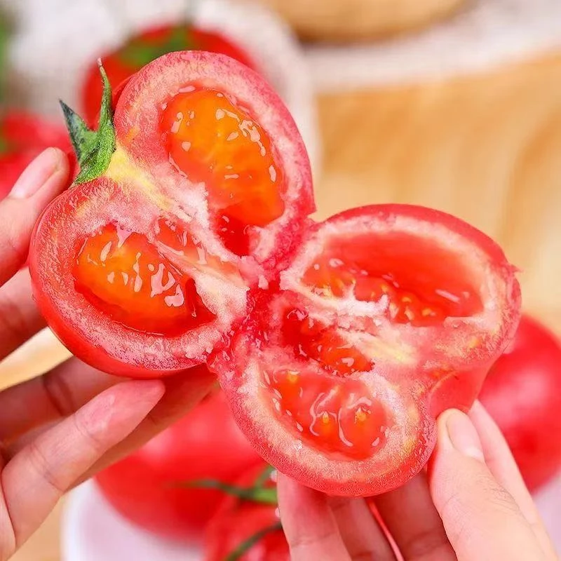 【陕西泾阳】普罗旺斯沙瓤西红柿生吃水果自然成熟草莓心番茄