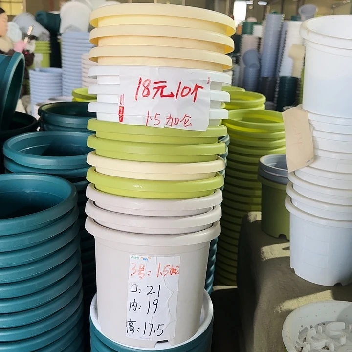 四季3#口径21果绿10个无托