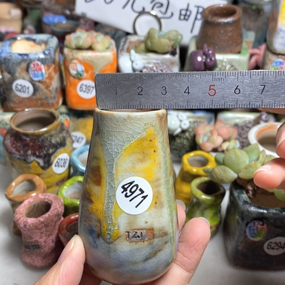 拍5送一个小礼物