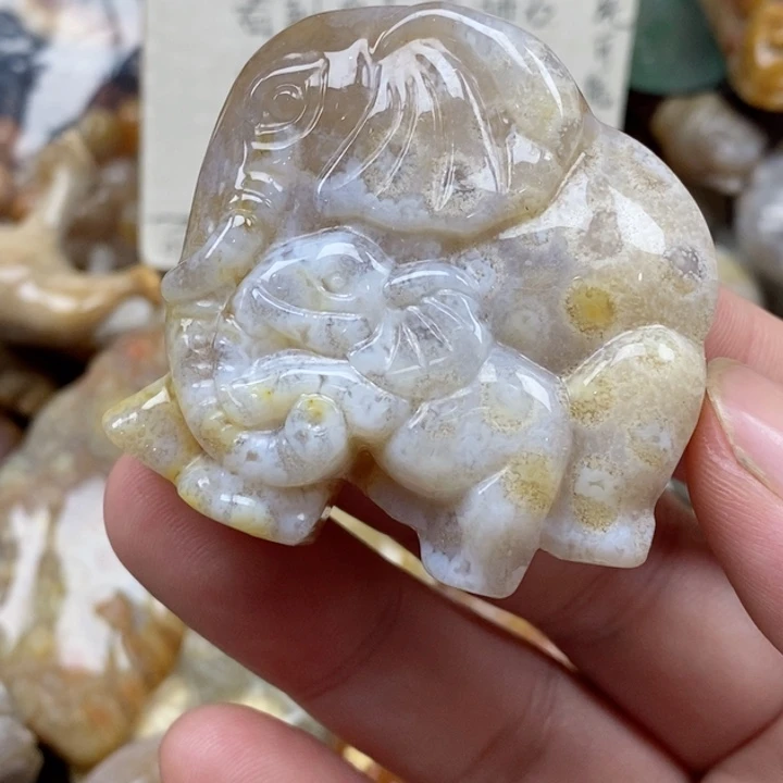 硅化珊瑚（珊瑚玉）未镶嵌颈饰