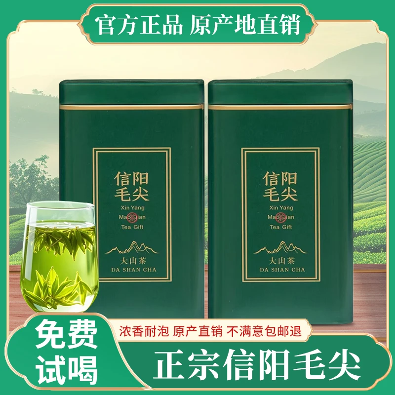 信阳毛尖2025雨前新茶绿茶毛尖茶浓香耐泡