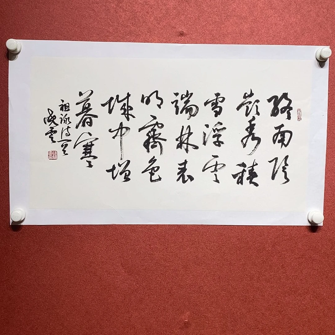 书法终南直播大漏