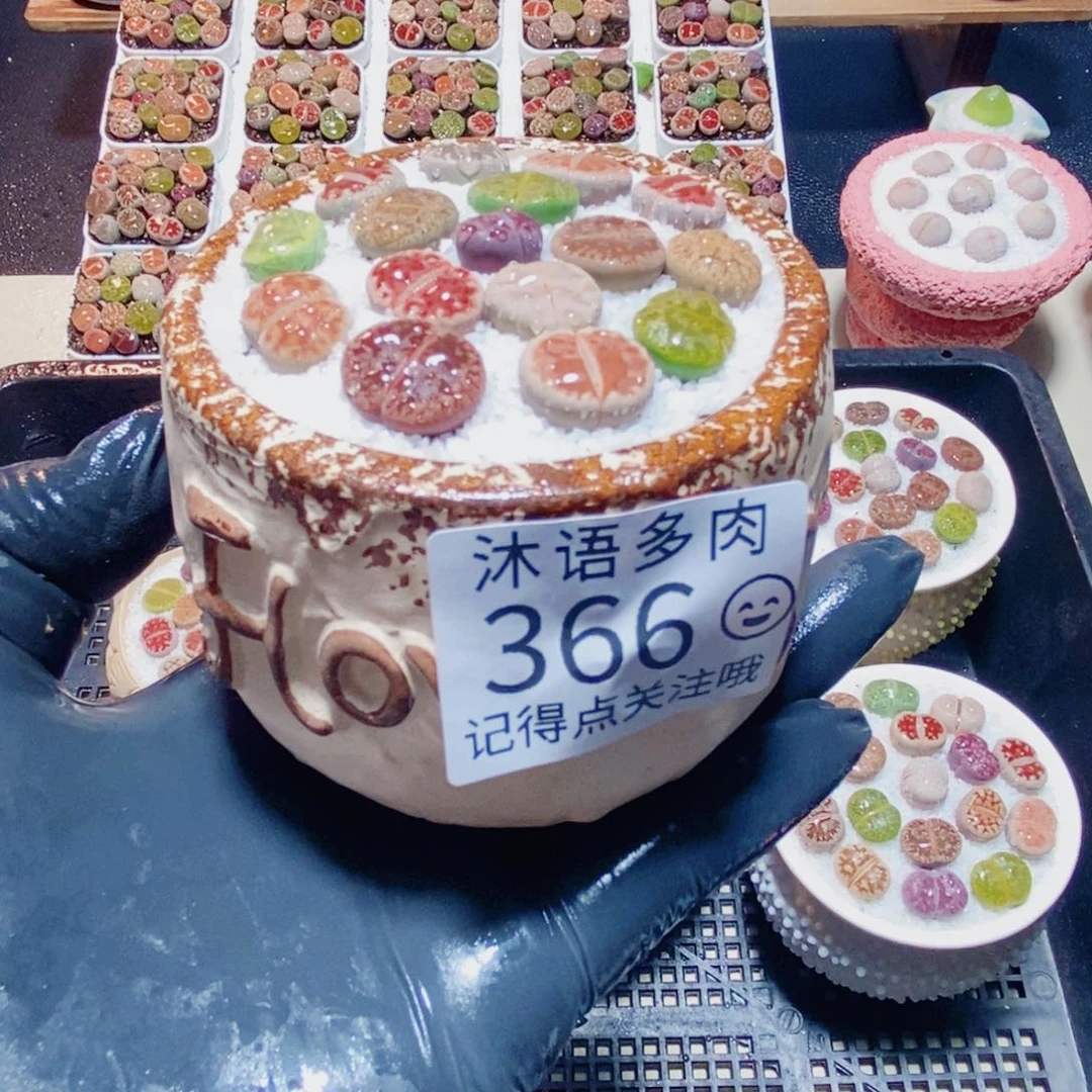 一物一拍 所见即所得 366