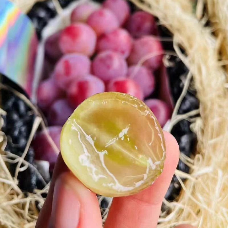 妮娜皇后云南现货妮娜皇后葡萄当季新鲜罗马红宝石晴王特级无籽葡萄包邮G云南省