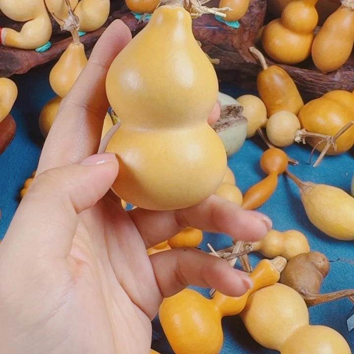 立***行其实是生生世世生生世世