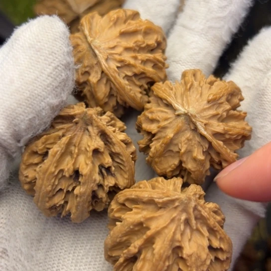 把件文玩核桃秦岭核桃19