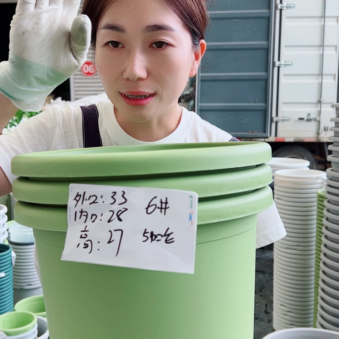 四季盆6#果绿5个无托