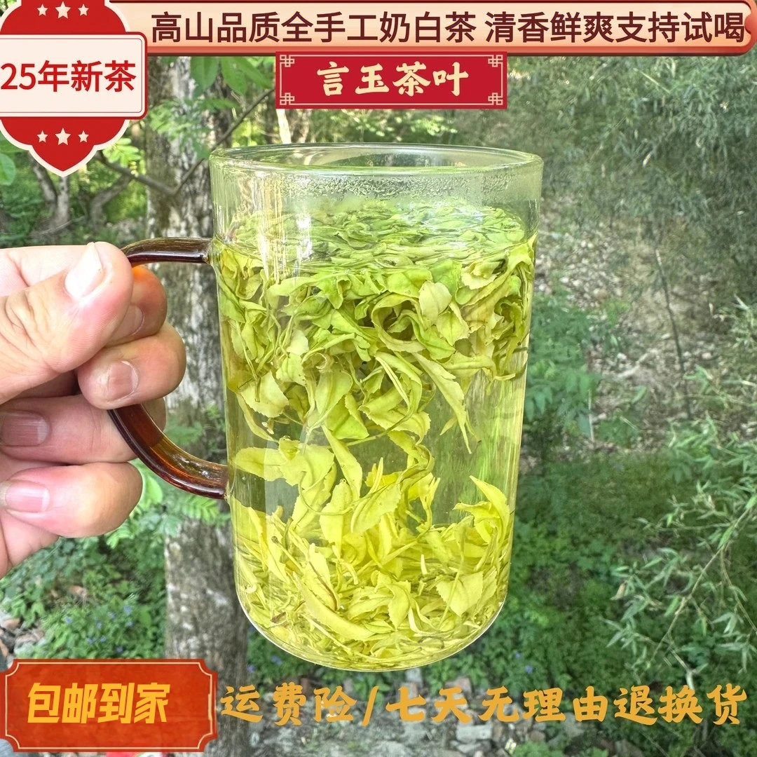 （N3）2025年全手工奶白茶（高端黄金芽）清香型豆香兰香奶香鲜如鸡汤