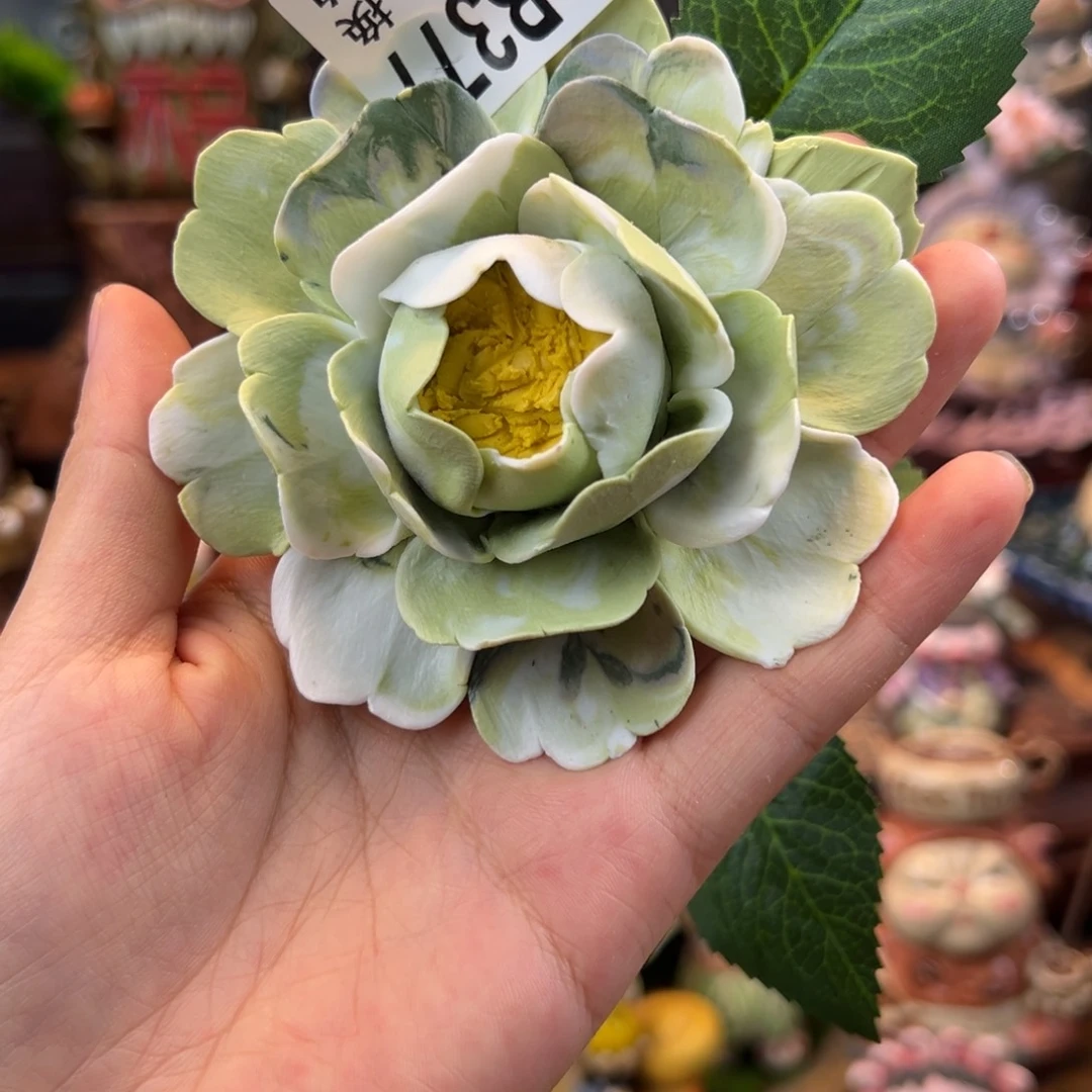 小镇青花每日有新品微瑕